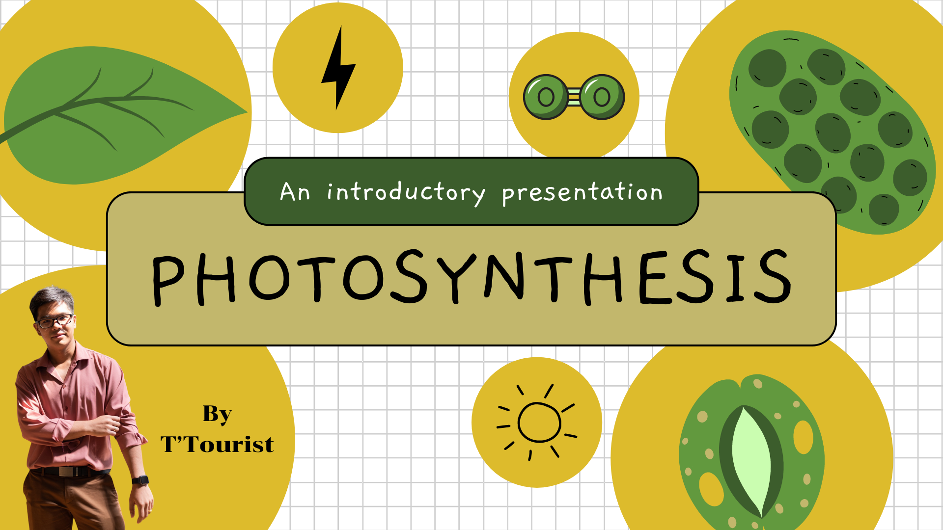 Photosynthesis